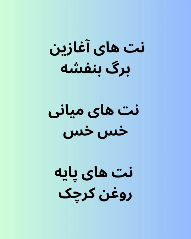 تصویر عطر ادکلن پورترایال مردانه برندینی | Brandini Portrayal - هستیا گالری