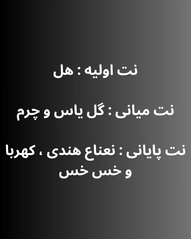 تصویر ادوپرفیوم مردانه Amber And Leather - هستیا گالری