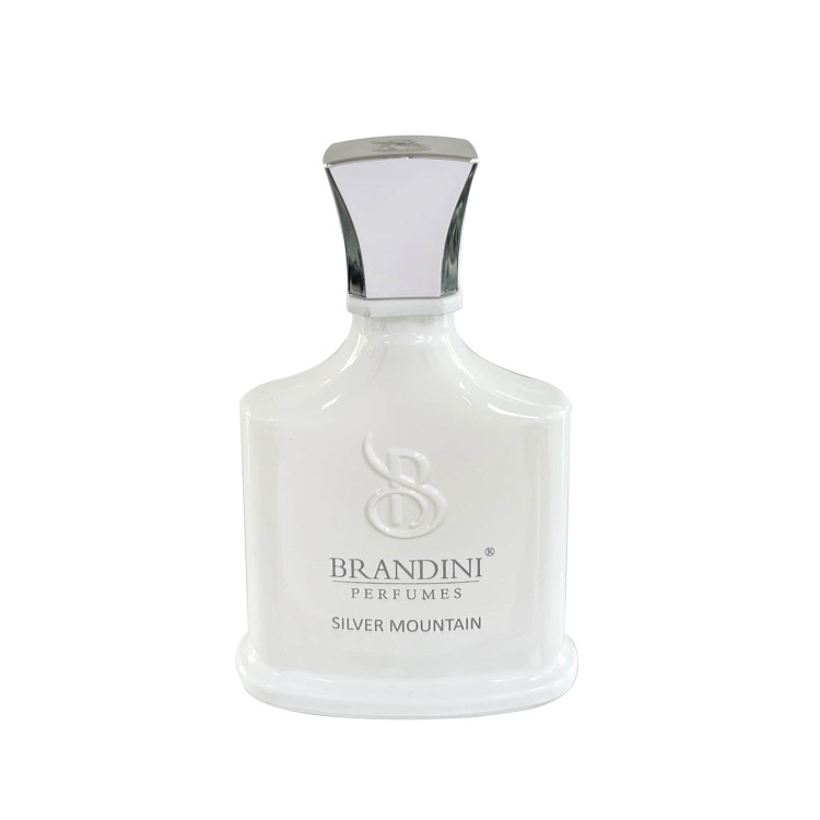 تصویر عطر ادکلن سیلور مونتین برندینی | Silver mountain Brandini - هستیا گالری