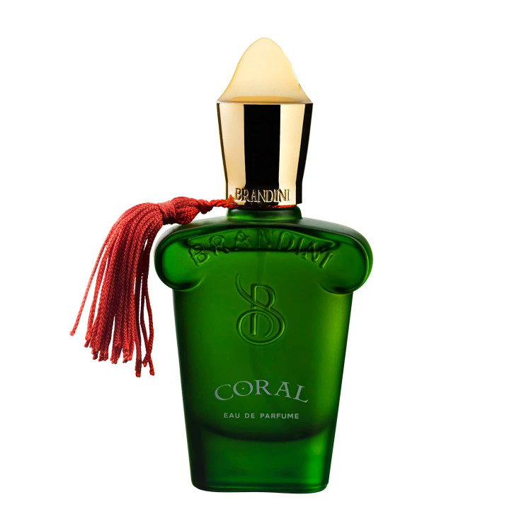قیمت عطر Brandini Dior Homme Intense