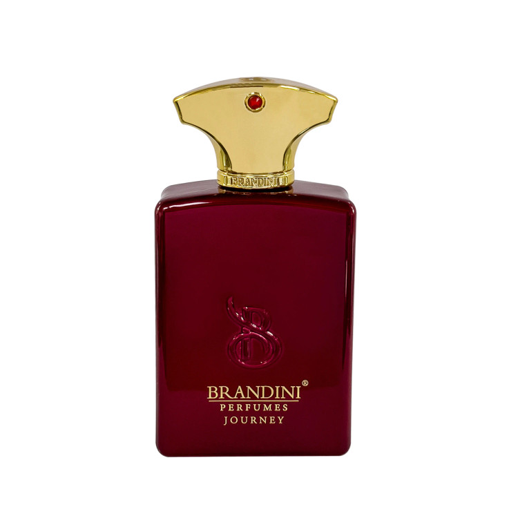 تصویر عطر ادکلن مردانه جورنی برندینی | Brandini Journey Men - هستیا گالری
