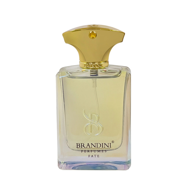 تصویر عطر ادکلن فیت مردانه برندینی | Brandini Fate - هستیا گالری