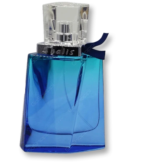 تصویر عطر اورجینال - ادکلن رمی مارکویس شالیز مردانه | Remy Marquis Shalis for men - هستیا گالری
