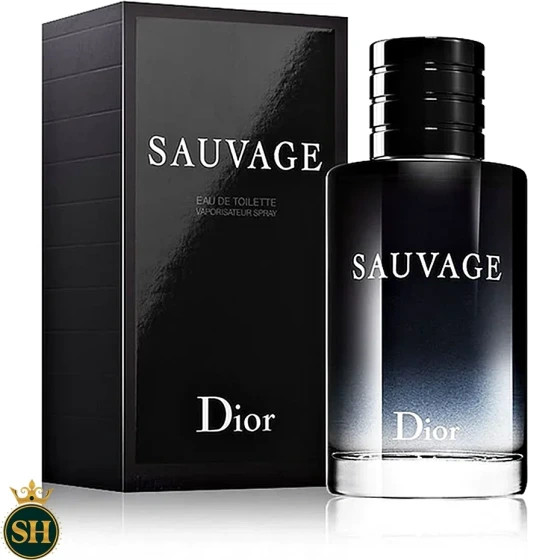 عطر ادکلن دیور ساواج ادو پرفیوم | Dior Sauvage Eau de Parfum 200ml